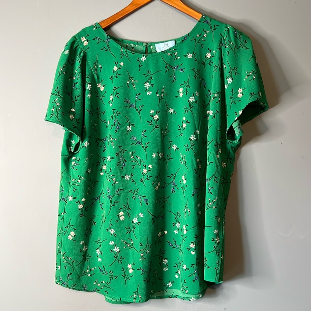 CeCe woman’s top. Green with a flower pattern. Size XL